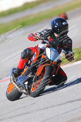 media/Jan-20-2023-Fastrack Riders (Fri) [[f2ad32aba3]]/Level 3/session 4 turn 6/